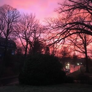 Meet your Posher, Wanda